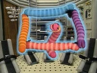 Wormsinspace.shapes.jpg