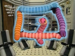 Wormsinspace.shapes