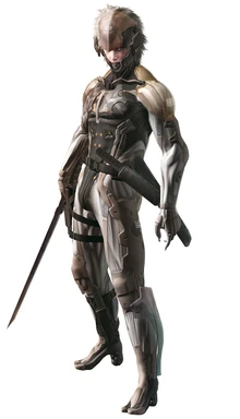 Ninja Raiden.jpg