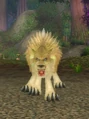 Earthen Ring Guide.jpg