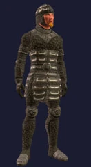 Armor of the night.jpg