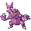 HeracrossRFVH variocolor