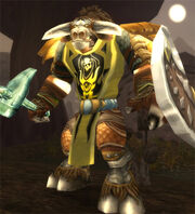 Tabard of Fury