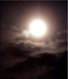 Moonlight2.jpg