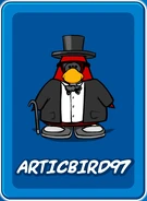 ArticbirdCard