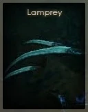 Lamprey.
