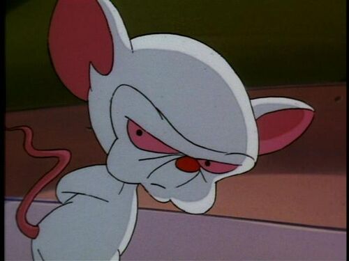 Pinky And The Brain - Animaniacs Wiki