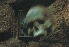 Kwerve skull
