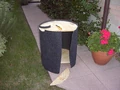 Sol Cooker Carpet1.JPG