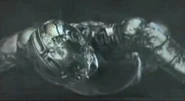 T-900xiv