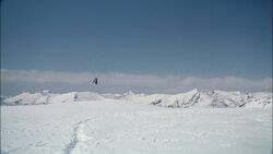 Antarctica