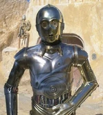 Nobot