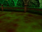 Swamp