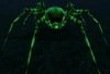 Carrion Recluse