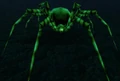 Carrion Recluse.JPG