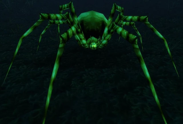 File:Carrion Recluse.JPG