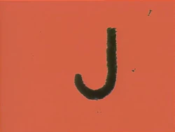 SandJ-3