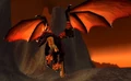 Rogue Black Drake.jpg