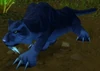 Elder Shadowmaw Panther