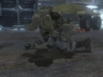 1216051647 Infected