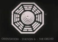 OrchidOrientation.jpg