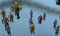 Northrend Homesteader