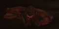 Proto-Whelp.jpg