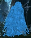 Riven Widow Cocoon