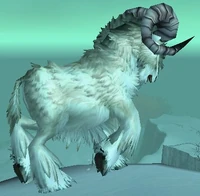 Arctic Ram