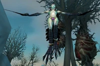 Coldwind Waste Huntress