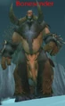 Bonesunder.jpg