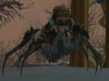 Anub'ar Slayer