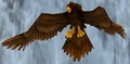 Talonshrike.jpg
