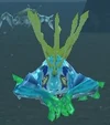 Chillmere Coastrunner