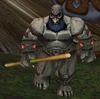 Iron Rune Sage