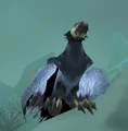 Dragonbone Condor.jpg