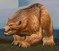 Rabid Brown Bear