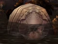 Devouring Maggot.jpg