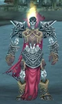 Risen Wintergarde Mage