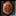Copper Scarab Icon