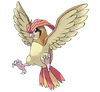 100px-Pidgeotto.png