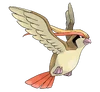Pidgeot