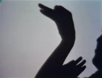 Shadowswan1