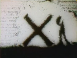 SandX