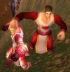 Tirisfal Crusader