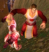 Image of Tirisfal Crusader