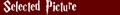 SPheader.JPG