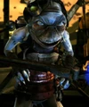 Kazdan Paratus.jpg