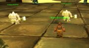Brann-in-northrend