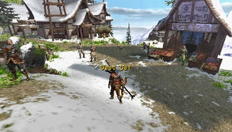 PokkeVillageimg